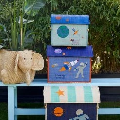 Rice by Rice Raffia Storage Baskets/Space