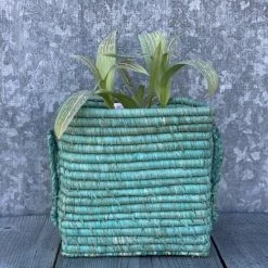 Rice by Rice Square Raffia Basket In Mint